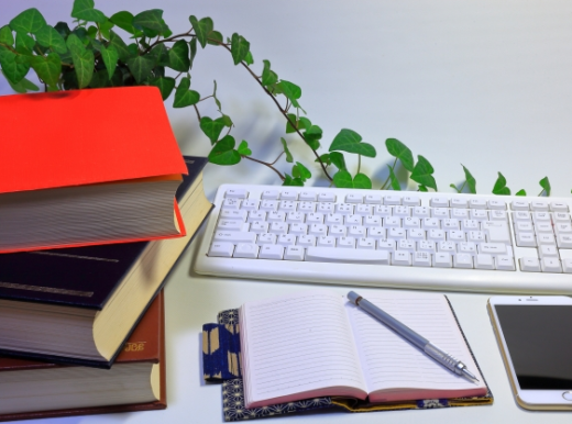 おっさんフリーランスがマイナ免許証を取得してみた